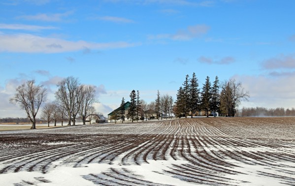 Winter Farm by Deb Oppermann